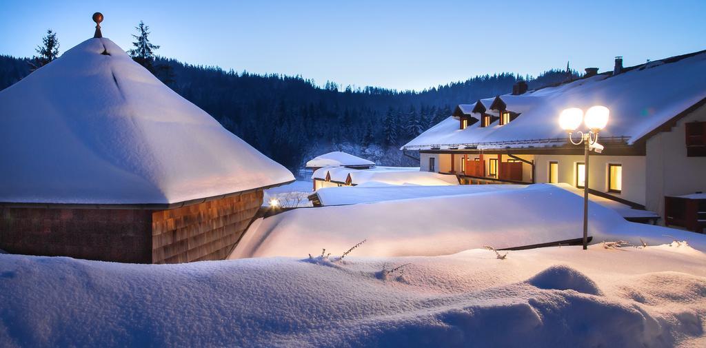 Wellness- Und Vitalhotel Boehmhof Bodenmais Εξωτερικό φωτογραφία